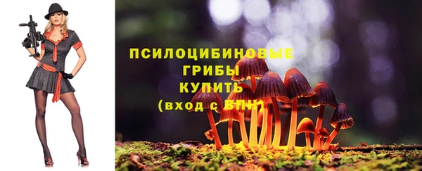 ALPHA-PVP Белокуриха