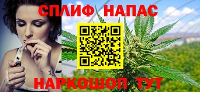 шишки Партизанск