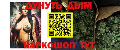 шишки Партизанск