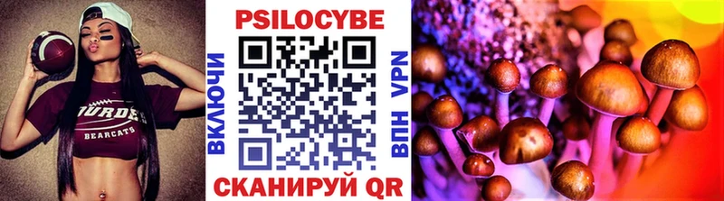 Псилоцибиновые грибы Cubensis  где купить наркоту  мориарти телеграм  Валуйки  KRAKEN ССЫЛКА 